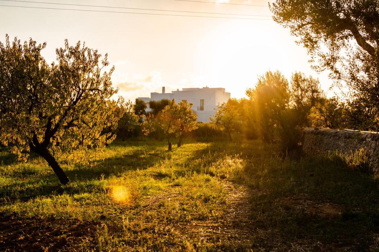 Masseria D'Erchia Monopoli Eksteriør bilde