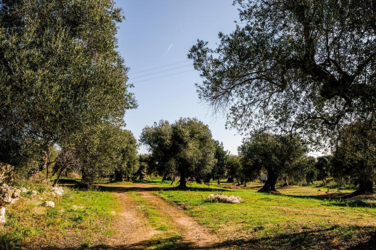 Masseria D'Erchia Monopoli Eksteriør bilde